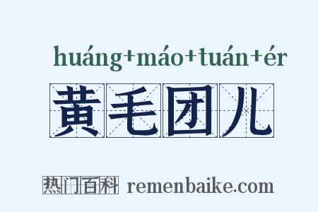 黄毛团儿是什么意思的图片